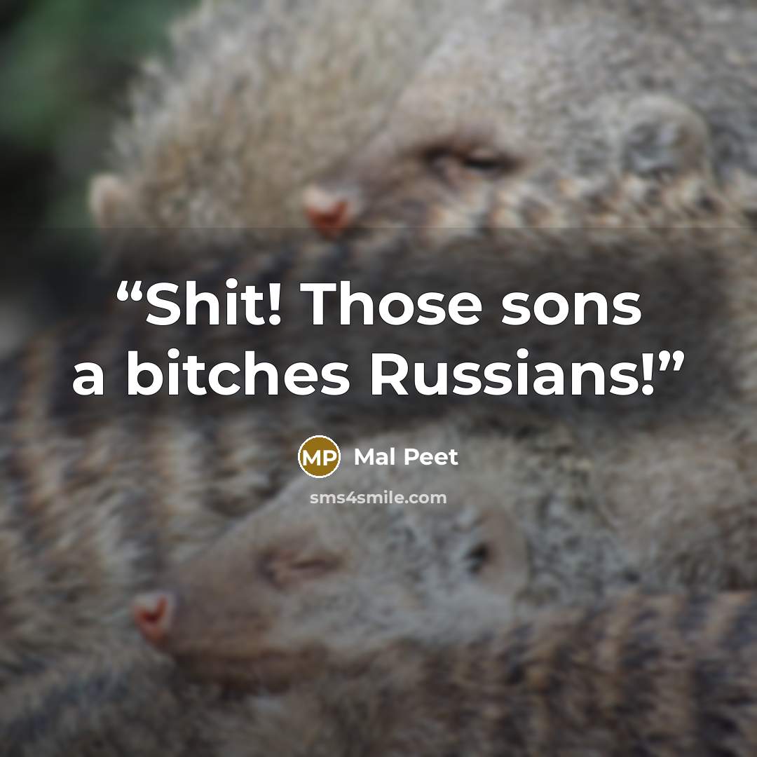 “Shit! Those sons a bitches Russians!” quote by Mal Peet