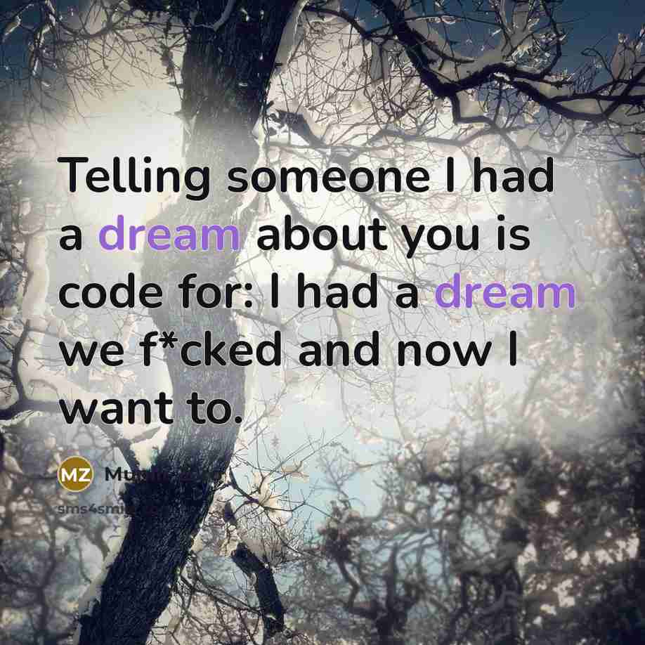 “Telling someone I had a dream about you is code for: I had a dream we f*cked and now I want to.” quote by Muniir Zero