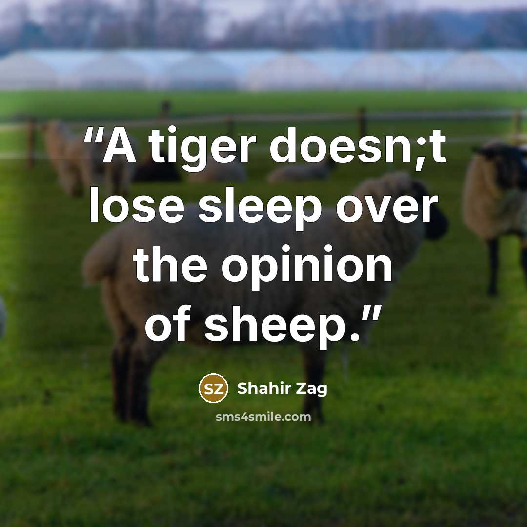 “A tiger doesn;t lose sleep over the opinion of sheep.” quote by Shahir Zag