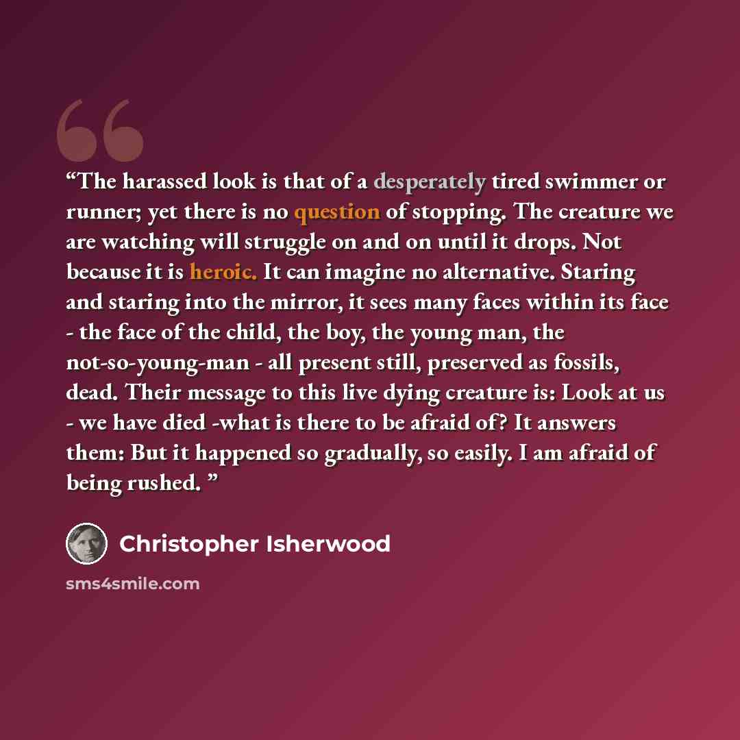 “The harassed look is that of a desperately tired swimmer or runner; yet there is no question of stopping. The creature we are watching will struggle on and on until it drops. Not because it is heroic. It can imagine no alternative. Staring and staring into the mirror, it sees many faces within its…” quote by Christopher Isherwood