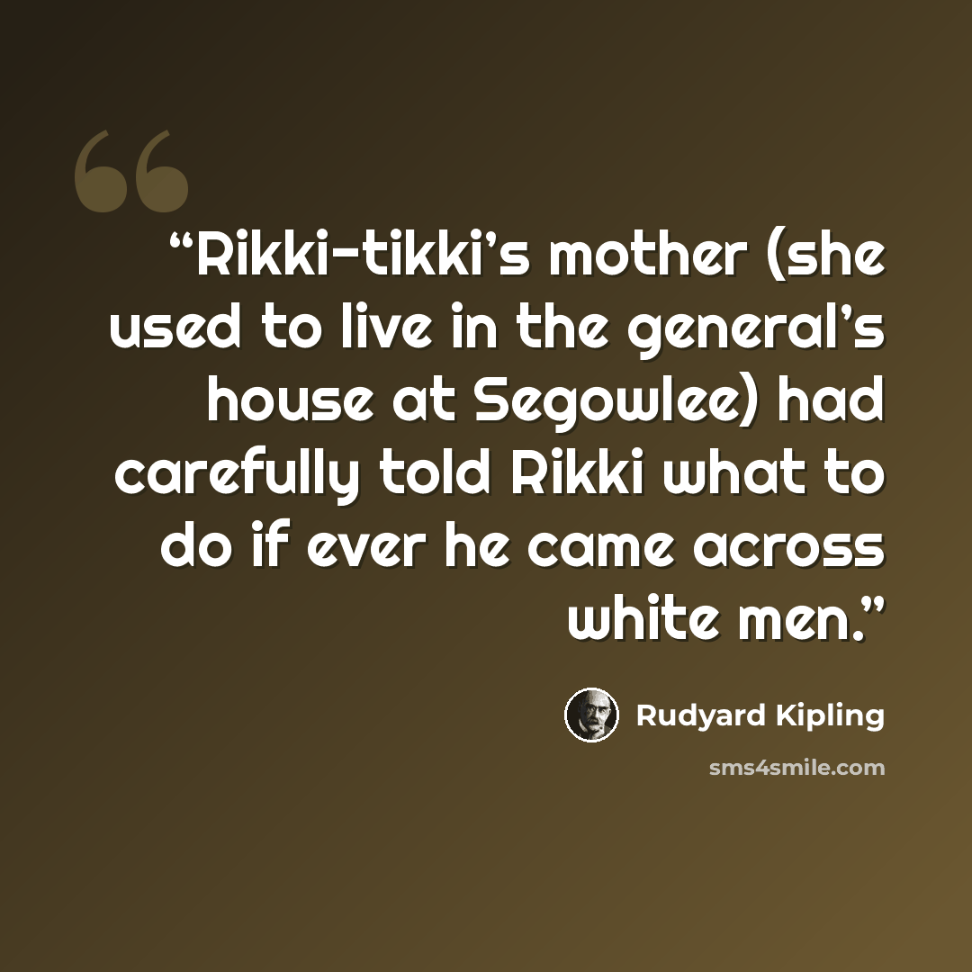 “Rikki-tikki’s mother (she used to live in the general’s house at Segowlee) had carefully told Rikki what to do if ever he came across white men.” quote by Rudyard Kipling