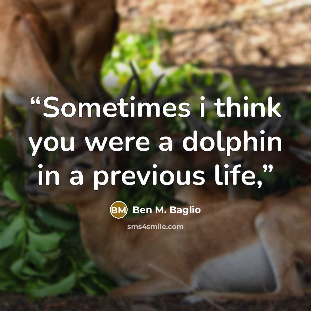 “Sometimes i think you were a dolphin in a previous life,” quote by Ben M. Baglio