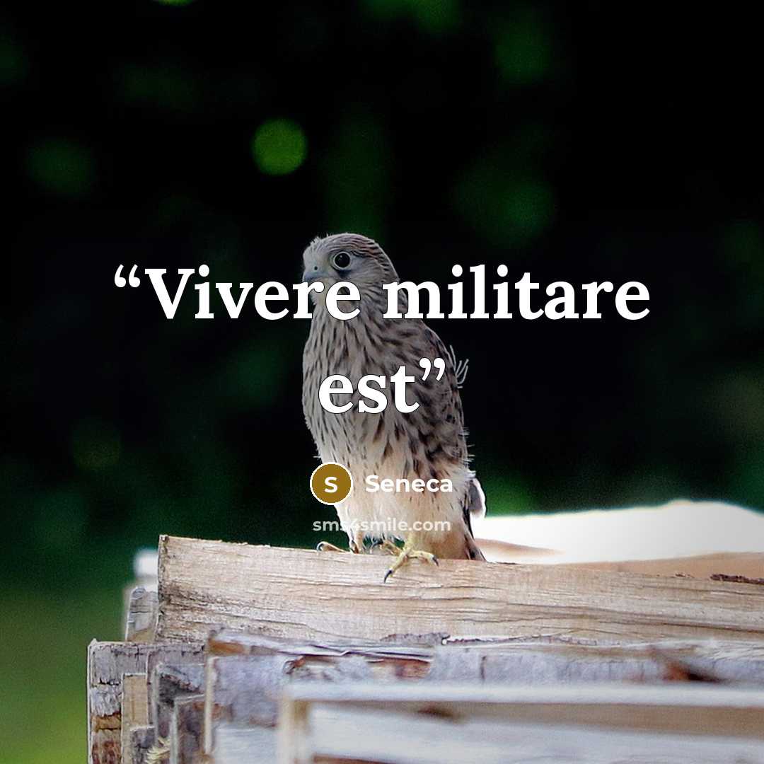 “Vivere militare est” quote by Seneca