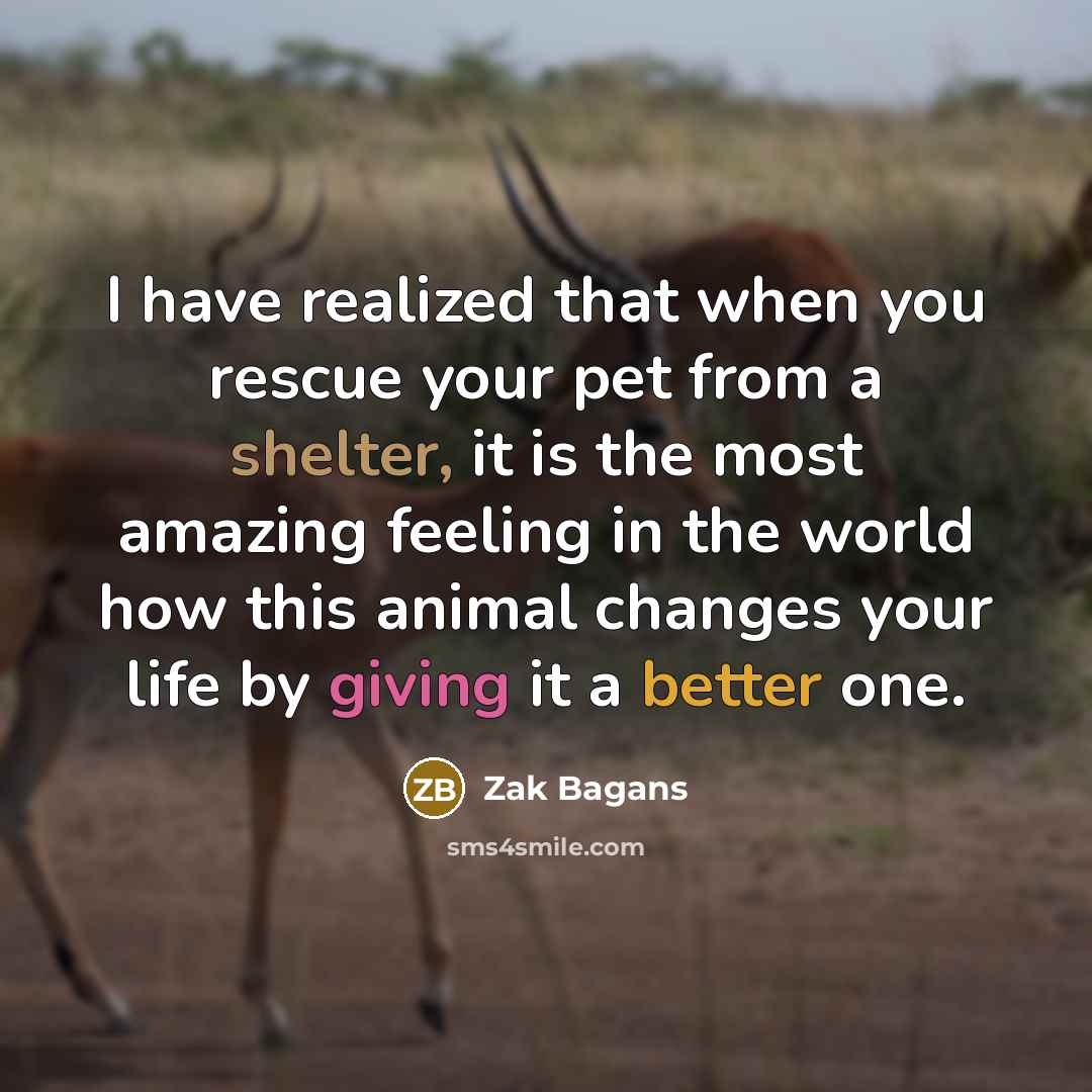 “I have realized that when you rescue your pet from a shelter, it is the most amazing feeling in the world how this animal changes your life by giving it a better one.” quote by Zak Bagans