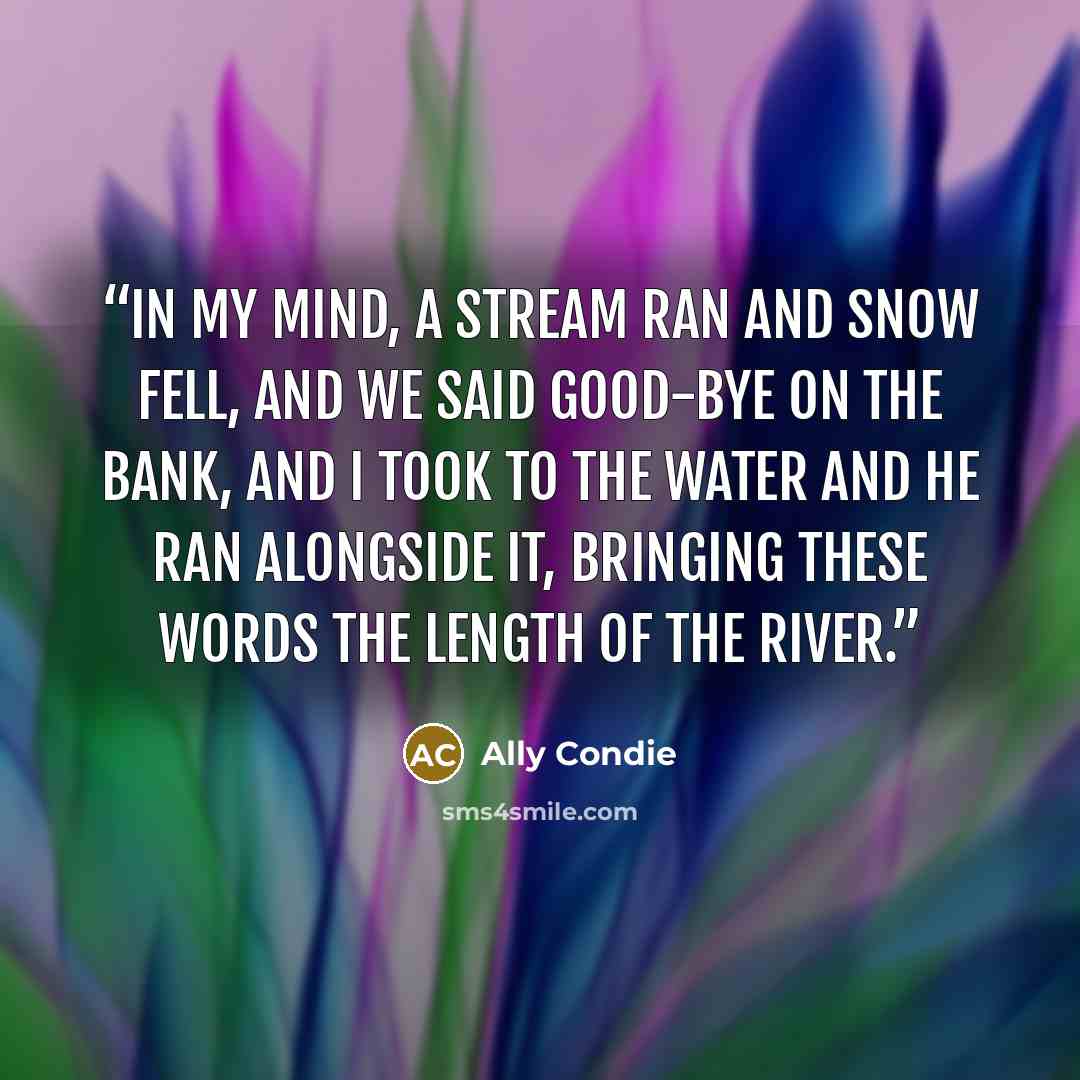 “In my mind, a stream ran and snow fell, and we said good-bye on the bank, and I took to the water and he ran alongside it, bringing these words the length of the river.” quote by Ally Condie