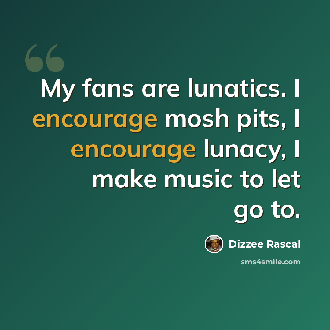 “My fans are lunatics. I encourage mosh pits, I encourage lunacy, I make music to let go to.” quote by Dizzee Rascal