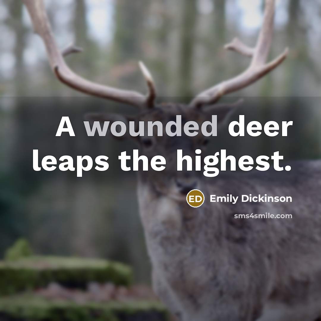 “A wounded deer leaps the highest.” quote by Emily Dickinson