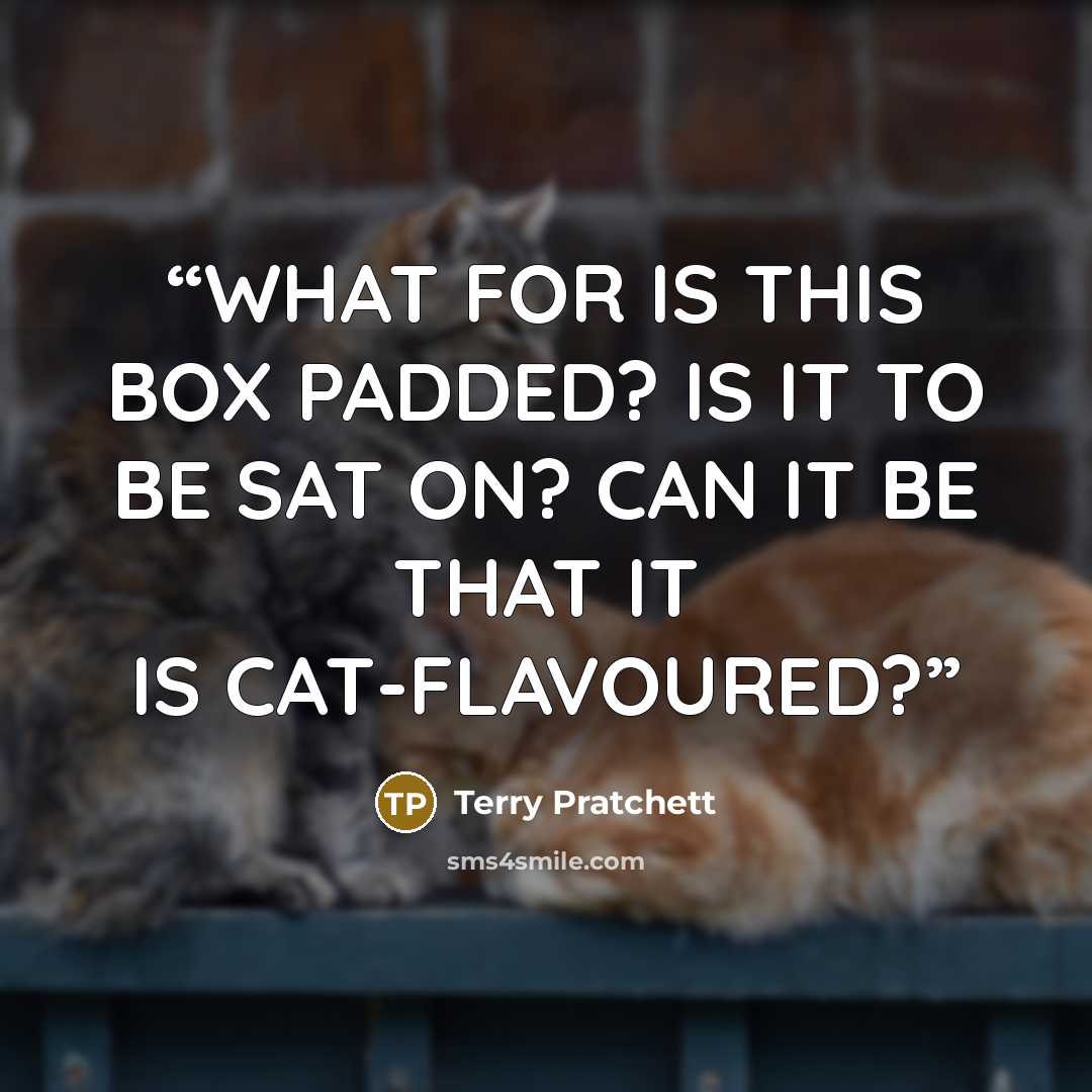 “WHAT FOR IS THIS BOX PADDED? IS IT TO BE SAT ON? CAN IT BE THAT IT IS CAT-FLAVOURED?” quote by Terry Pratchett