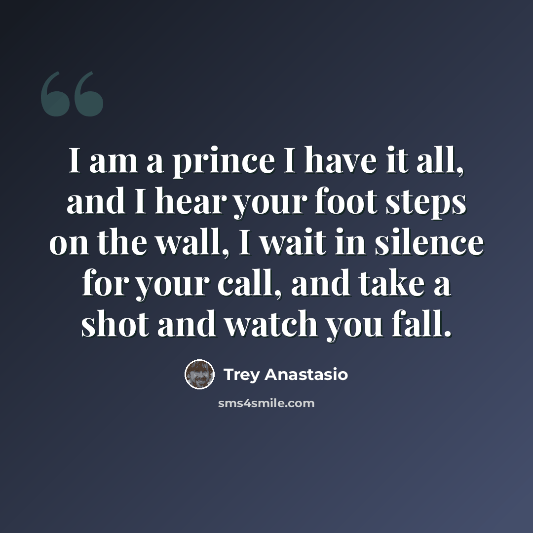 “I am a prince I have it all, and I hear your foot steps on the wall, I wait in silence for your call, and take a shot and watch you fall.” quote by Trey Anastasio