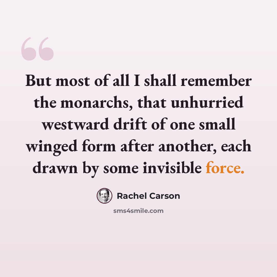 “But most of all I shall remember the monarchs, that unhurried westward drift of one small winged form after another, each drawn by some invisible force.” quote by Rachel Carson