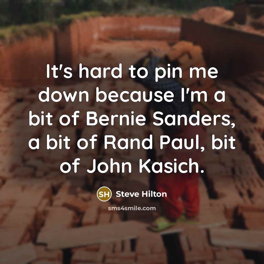 “It's hard to pin me down because I'm a bit of Bernie Sanders, a bit of Rand Paul, bit of John Kasich.” quote by Steve Hilton