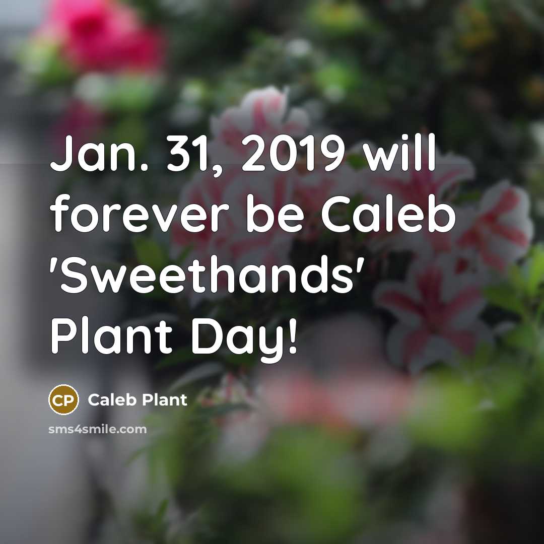 “Jan. 31, 2019 will forever be Caleb 'Sweethands' Plant Day!” quote by Caleb Plant