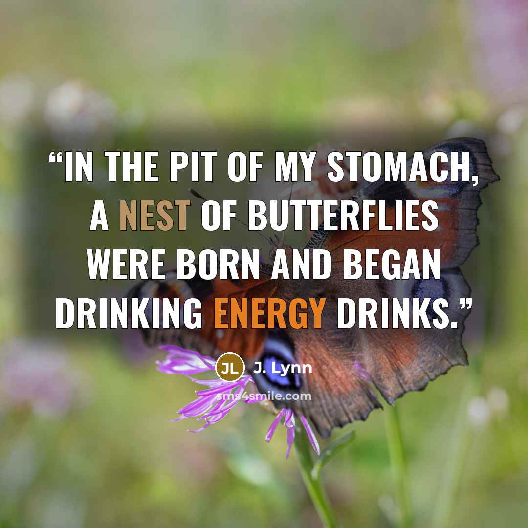 “In the pit of my stomach, a nest of butterflies were born and began drinking energy drinks.” quote by J. Lynn