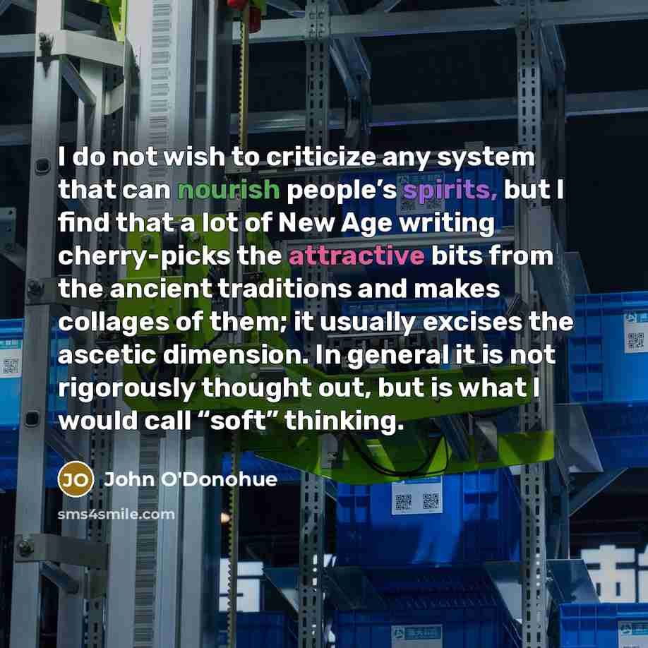 “I do not wish to criticize any system that can nourish people’s spirits, but I find that a lot of New Age writing cherry-picks the attractive bits from the ancient traditions and makes collages of them; it usually excises the ascetic dimension. In general it is not rigorously thought out, but is…” quote by John O'Donohue