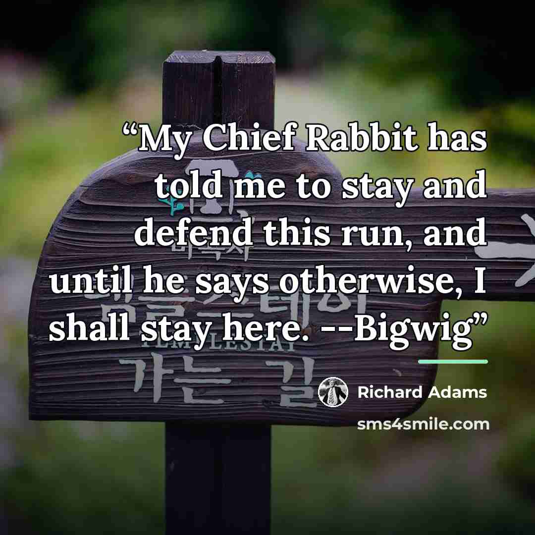 “My Chief Rabbit has told me to stay and defend this run, and until he says otherwise, I shall stay here. --Bigwig” quote by Richard Adams