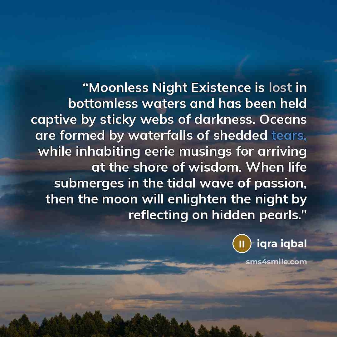 “Moonless Night Existence is lost in bottomless waters and has been held captive by sticky webs of darkness. Oceans are formed by waterfalls of shedded tears, while inhabiting eerie musings for arriving at the shore of wisdom. When life submerges in the tidal wave of passion, then the moon will…” quote by iqra iqbal