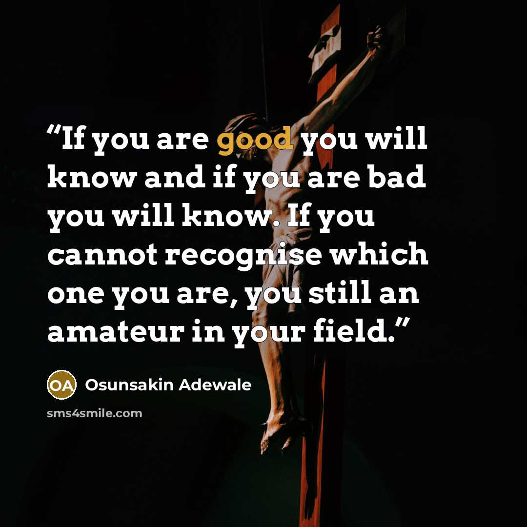 “If you are good you will know and if you are bad you will know. If you cannot recognise which one you are, you still an amateur in your field.” quote by Osunsakin Adewale