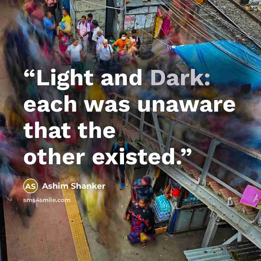 “Light and Dark: each was unaware that the other existed.” quote by Ashim Shanker