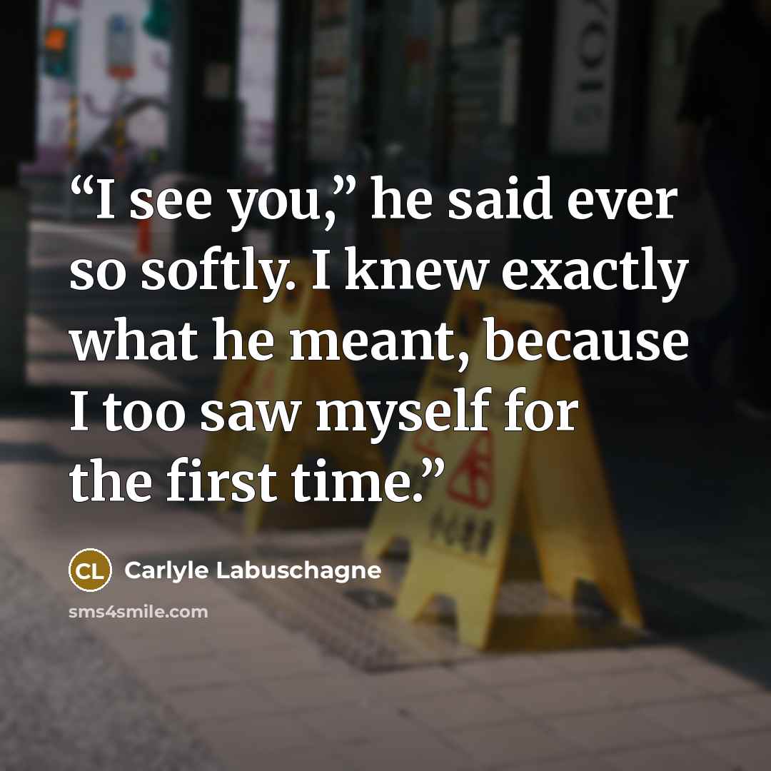 “I see you,” he said ever so softly. I knew exactly what he meant, because I too saw myself for the first time.” quote by Carlyle Labuschagne