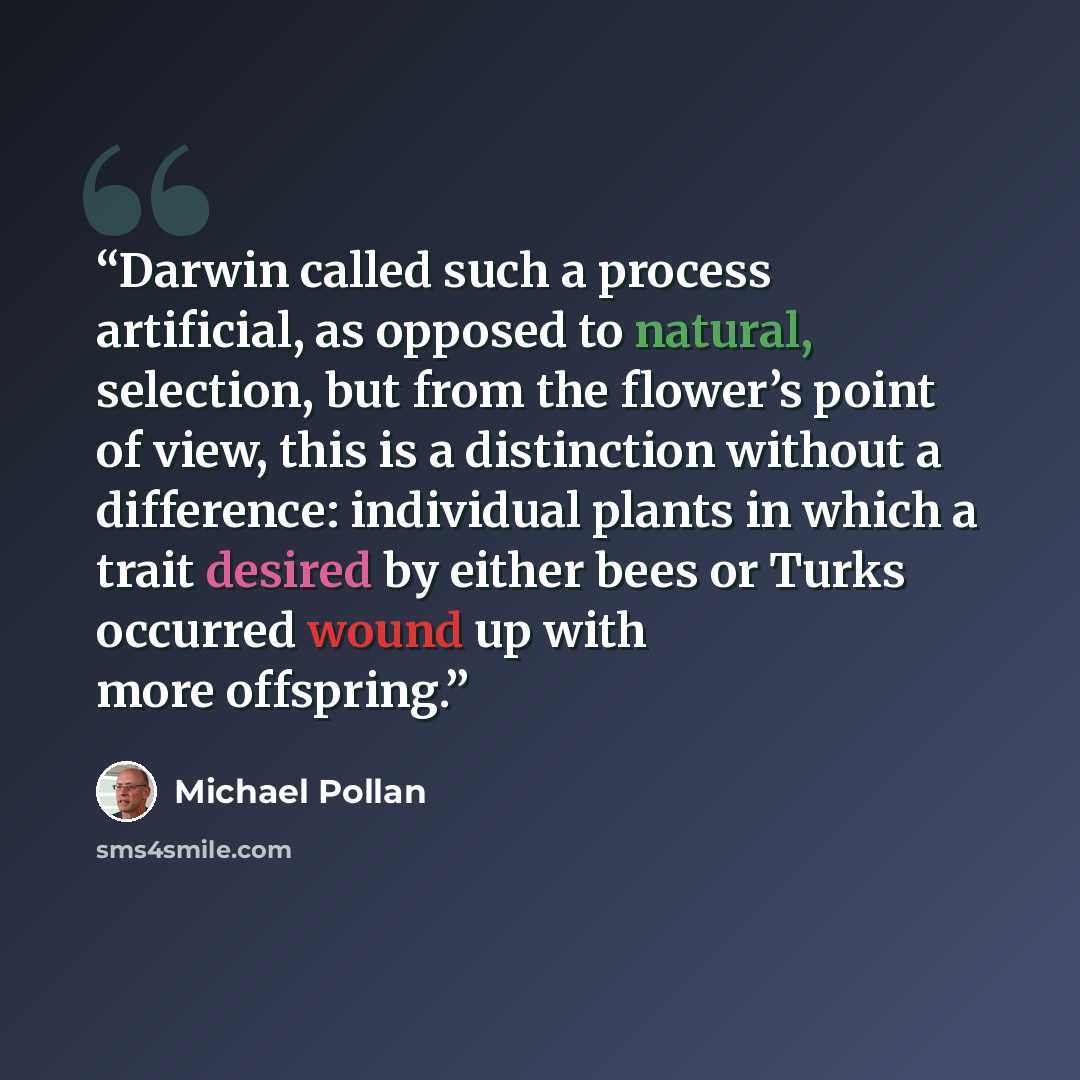 “Darwin called such a process artificial, as opposed to natural, selection, but from the flower’s point of view, this is a distinction without a difference: individual plants in which a trait desired by either bees or Turks occurred wound up with more offspring.” quote by Michael Pollan