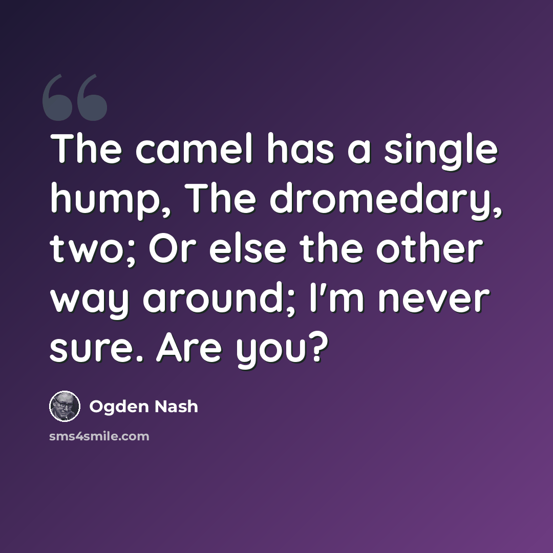 “The camel has a single hump, The dromedary, two; Or else the other way around; I'm never sure. Are you?” quote by Ogden Nash