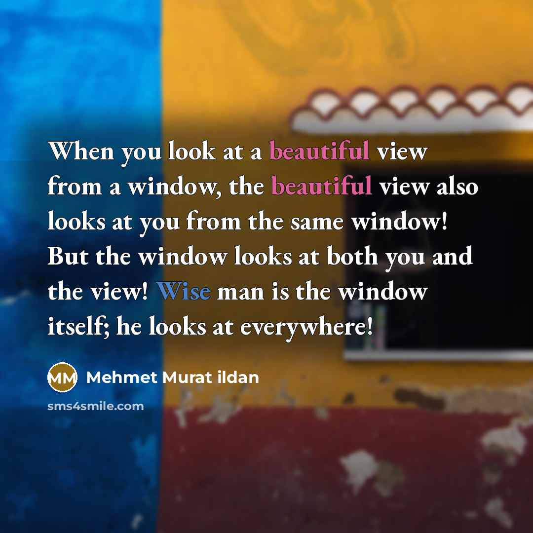 “When you look at a beautiful view from a window, the beautiful view also looks at you from the same window! But the window looks at both you and the view! Wise man is the window itself; he looks at everywhere!” quote by Mehmet Murat Ildan