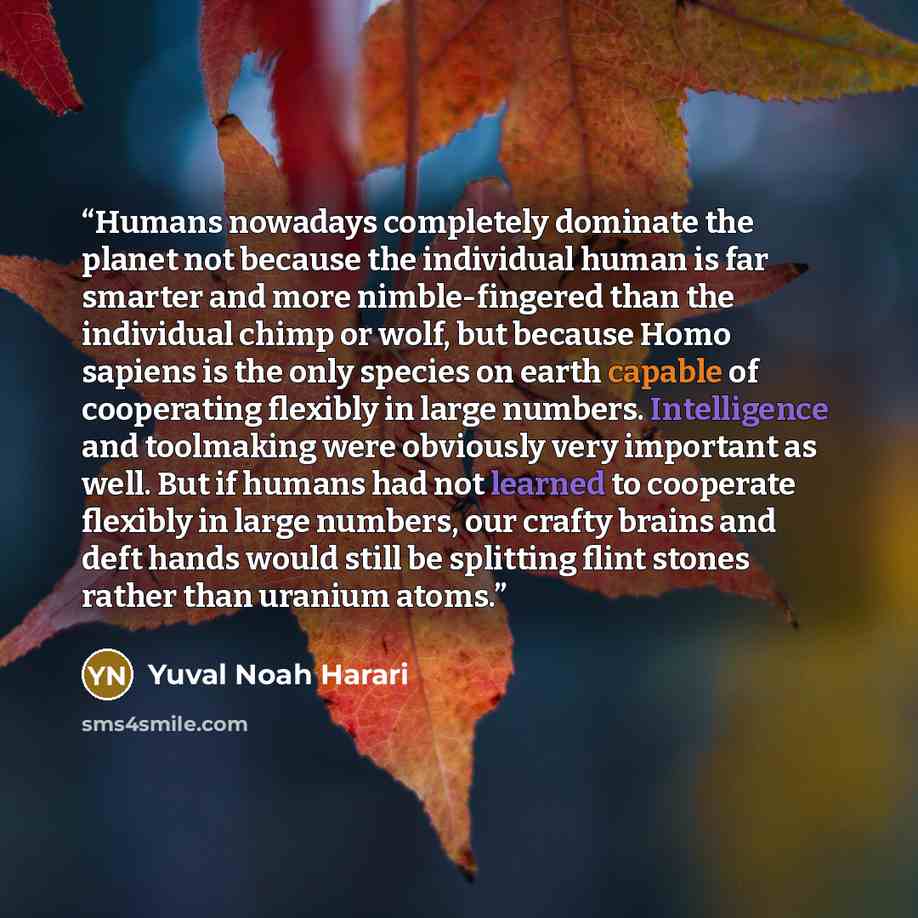 “Humans nowadays completely dominate the planet not because the individual human is far smarter and more nimble-fingered than the individual chimp or wolf, but because Homo sapiens is the only species on earth capable of cooperating flexibly in large numbers. Intelligence and toolmaking were…” quote by Yuval Noah Harari