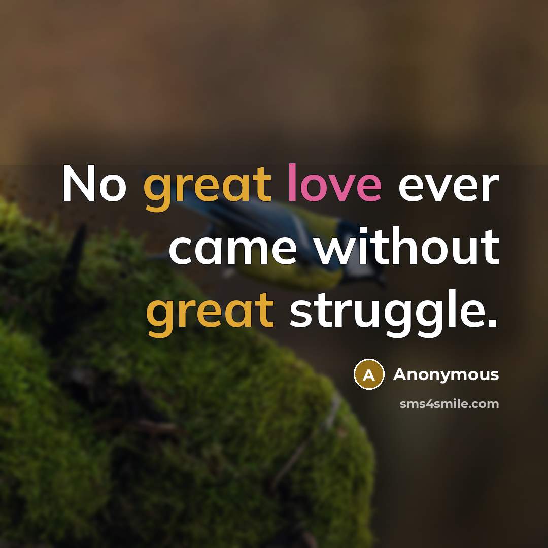 “No great love ever came without great struggle.” quote by Anonymous