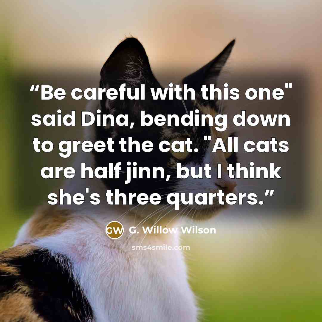 “Be careful with this one" said Dina, bending down to greet the cat. "All cats are half jinn, but I think she's three quarters.” quote by G. Willow Wilson