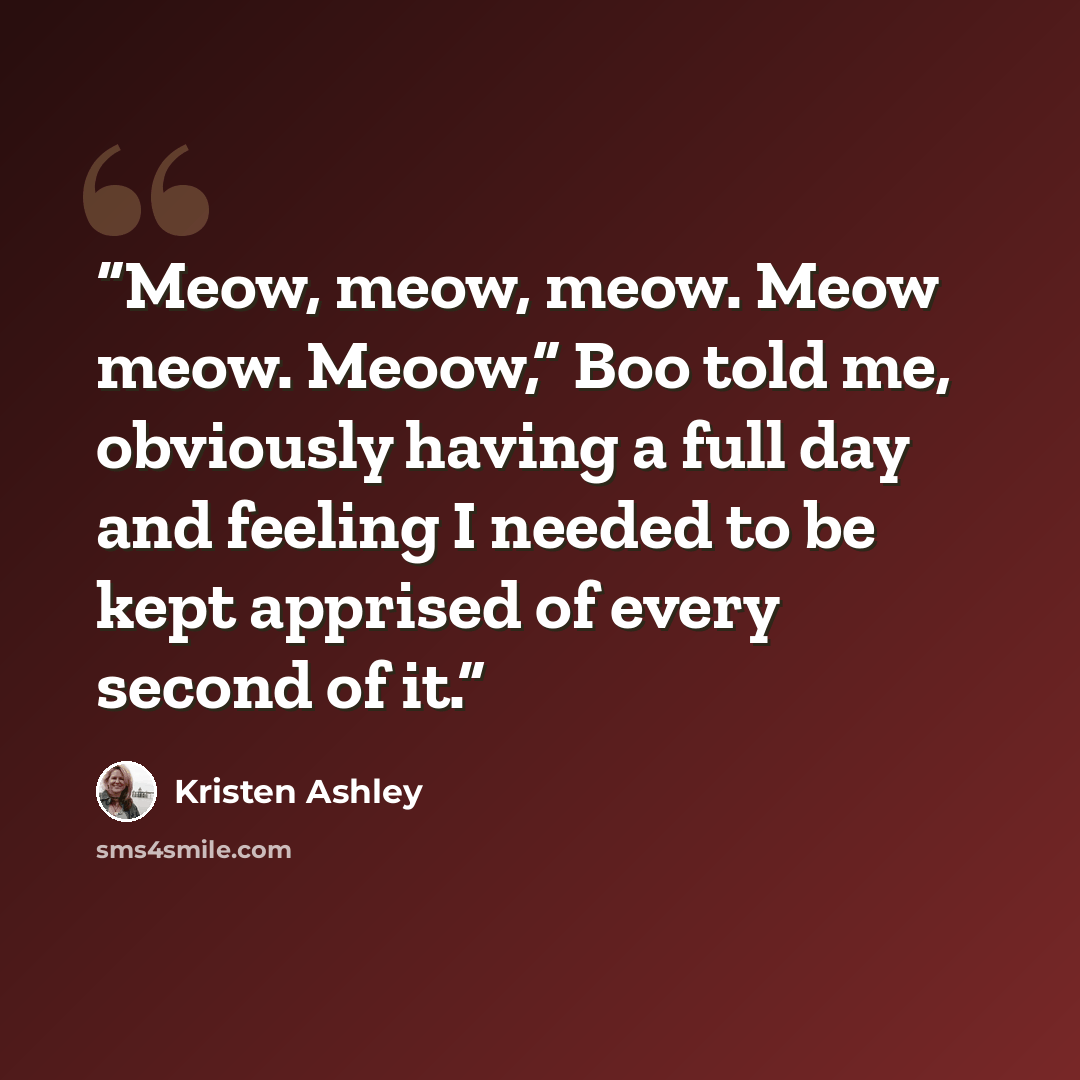 “Meow, meow, meow. Meow meow. Meoow,” Boo told me, obviously having a full day and feeling I needed to be kept apprised of every second of it.” quote by Kristen Ashley