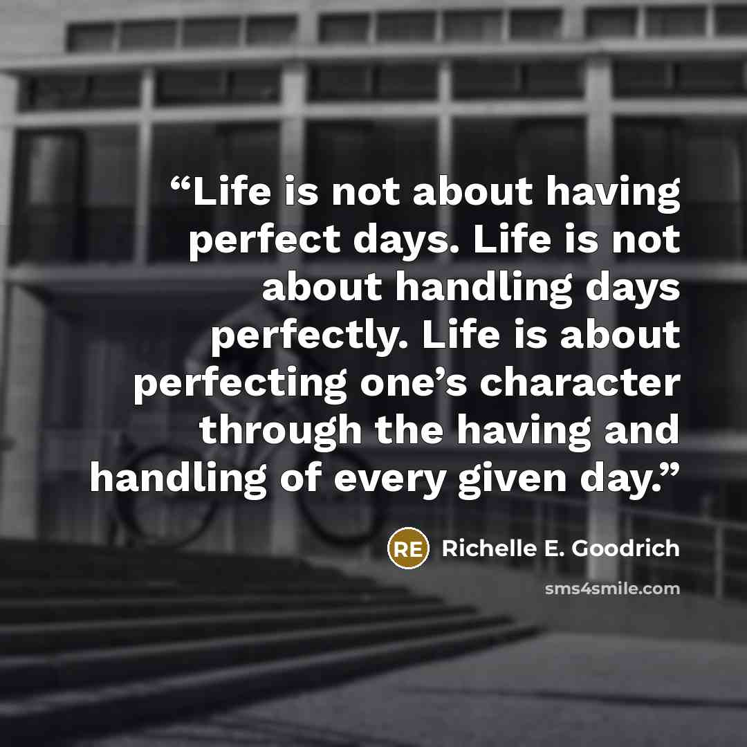 “Life is not about having perfect days. Life is not about handling days perfectly. Life is about perfecting one’s character through the having and handling of every given day.” quote by Richelle E. Goodrich