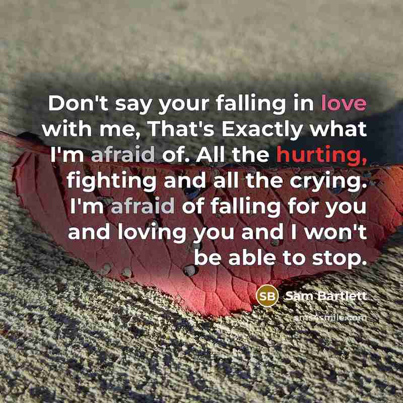 “Don't say your falling in love with me, That's Exactly what I'm afraid of. All the hurting, fighting and all the crying. I'm afraid of falling for you and loving you and I won't be able to stop.” quote by Sam Bartlett