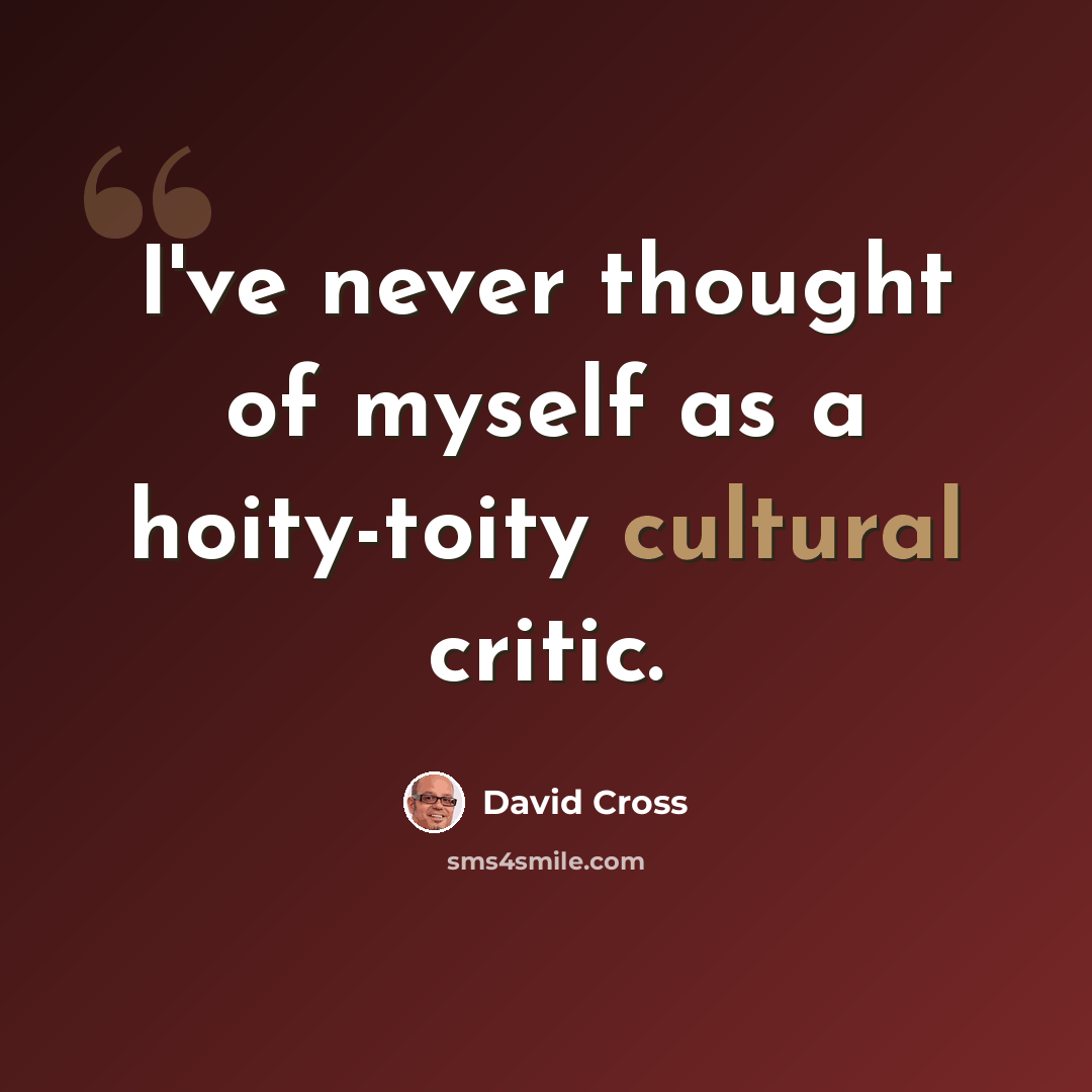 “I've never thought of myself as a hoity-toity cultural critic.” quote by David Cross