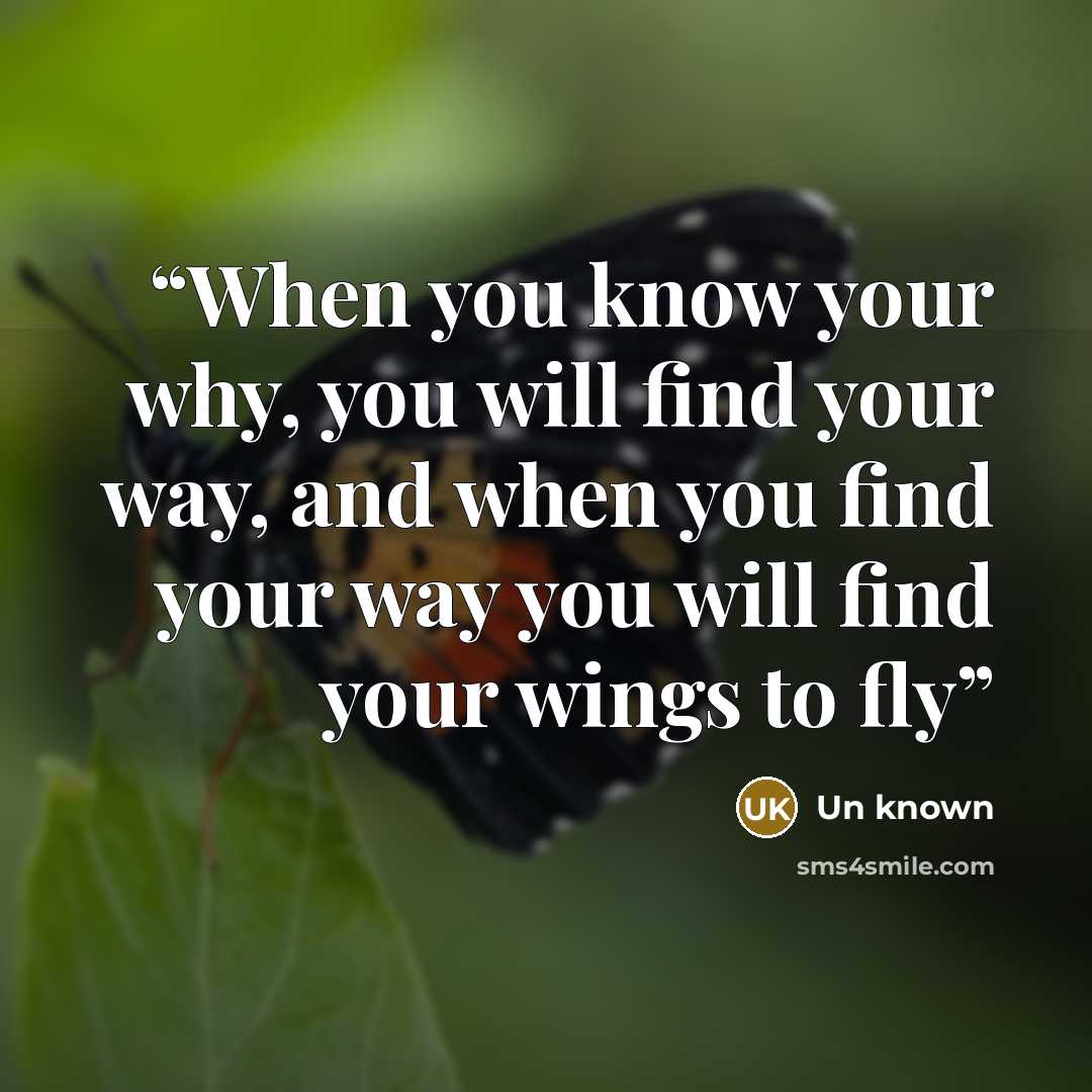 “When you know your why, you will find your way, and when you find your way you will find your wings to fly” quote by Un known