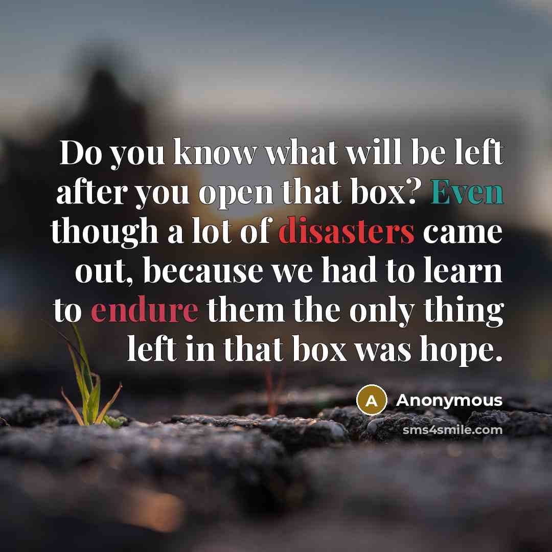 “Do you know what will be left after you open that box? Even though a lot of disasters came out, because we had to learn to endure them the only thing left in that box was hope.” quote by Anonymous