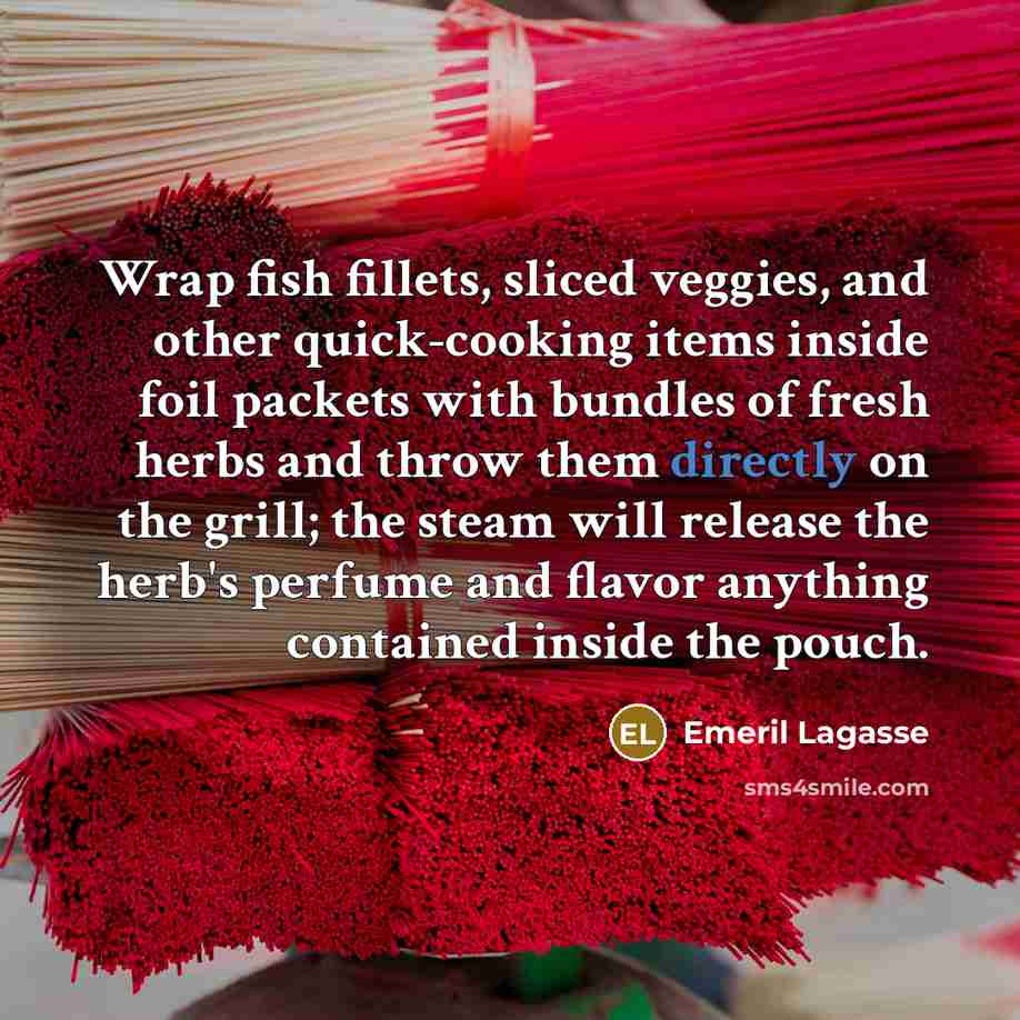 “Wrap fish fillets, sliced veggies, and other quick-cooking items inside foil packets with bundles of fresh herbs and throw them directly on the grill; the steam will release the herb's perfume and flavor anything contained inside the pouch.” quote by Emeril Lagasse