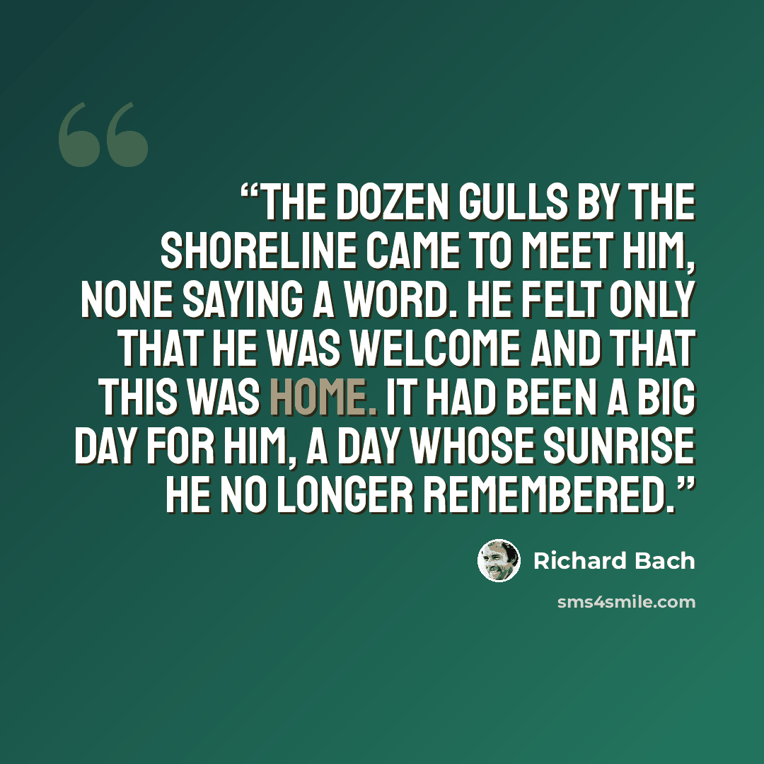 “The dozen gulls by the shoreline came to meet him, none saying a word. He felt only that he was welcome and that this was home. It had been a big day for him, a day whose sunrise he no longer remembered.” quote by Richard Bach