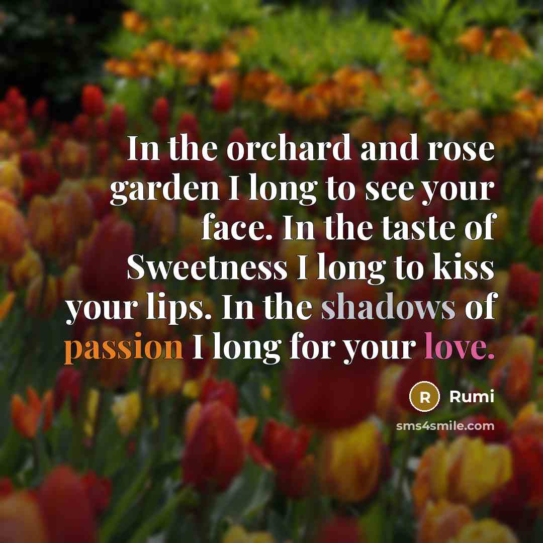 “In the orchard and rose garden I long to see your face. In the taste of Sweetness I long to kiss your lips. In the shadows of passion I long for your love.” quote by Rumi