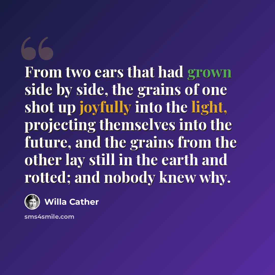 “From two ears that had grown side by side, the grains of one shot up joyfully into the light, projecting themselves into the future, and the grains from the other lay still in the earth and rotted; and nobody knew why.” quote by Willa Cather