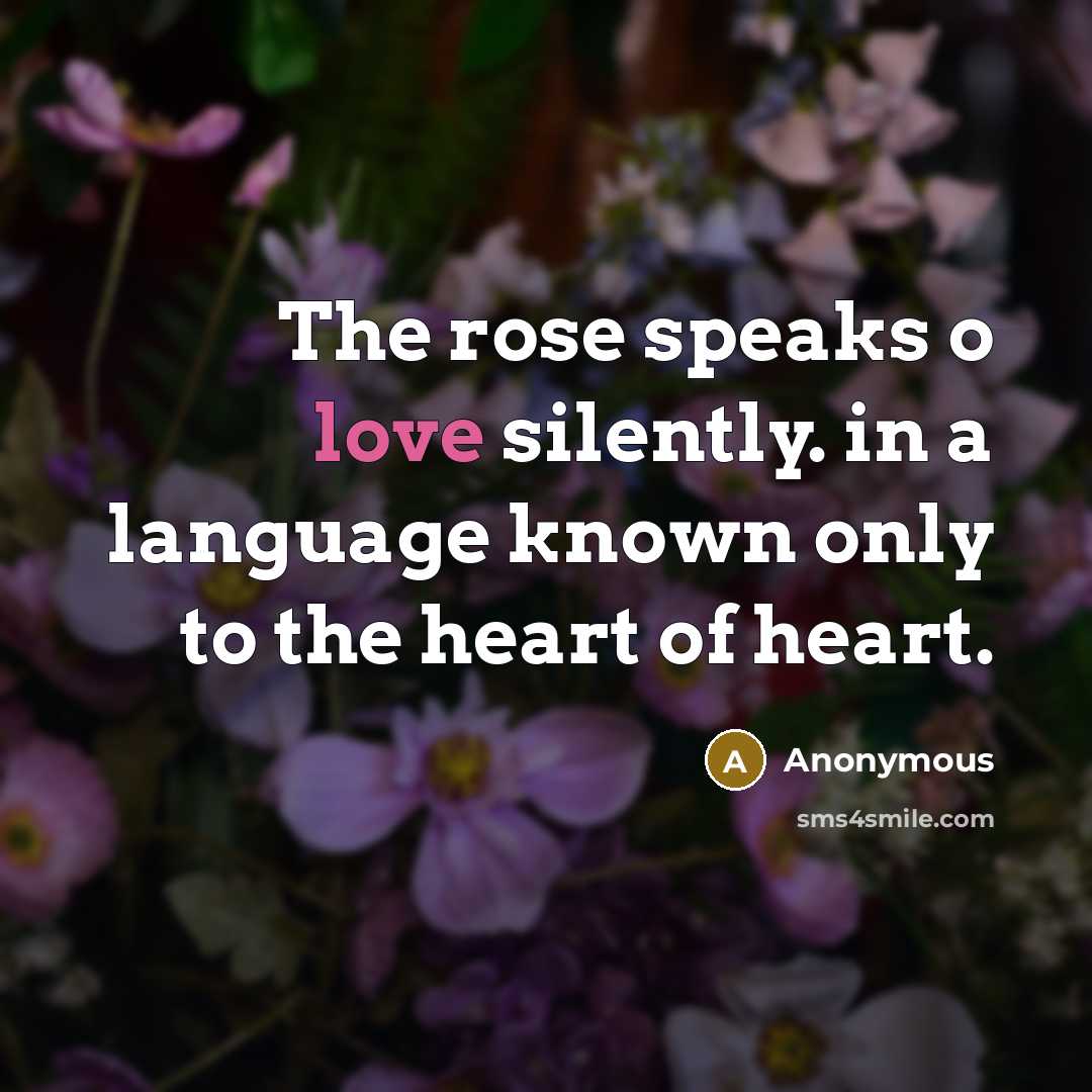 “The rose speaks o love silently. in a language known only to the heart of heart.” quote by Anonymous