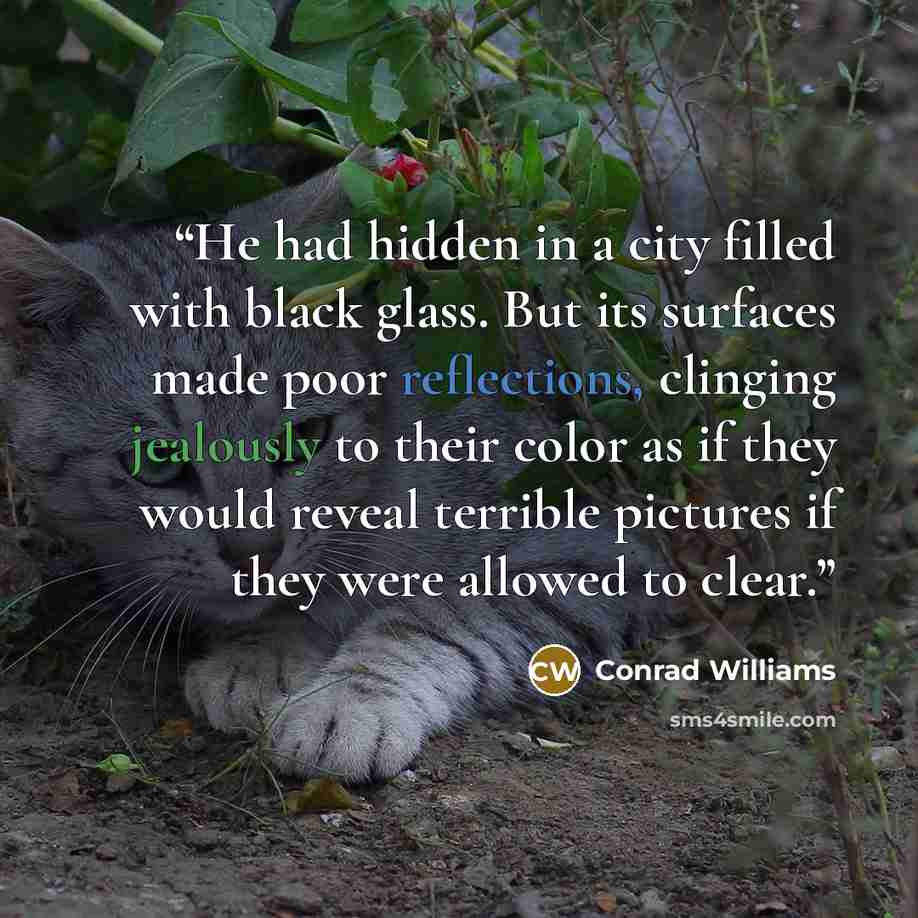 “He had hidden in a city filled with black glass. But its surfaces made poor reflections, clinging jealously to their color as if they would reveal terrible pictures if they were allowed to clear.” quote by Conrad Williams