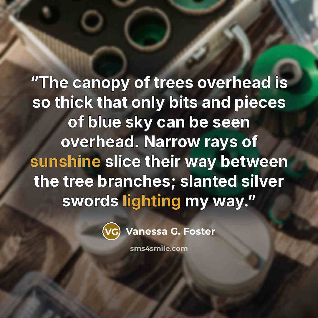 “The canopy of trees overhead is so thick that only bits and pieces of blue sky can be seen overhead. Narrow rays of sunshine slice their way between the tree branches; slanted silver swords lighting my way.” quote by Vanessa G. Foster