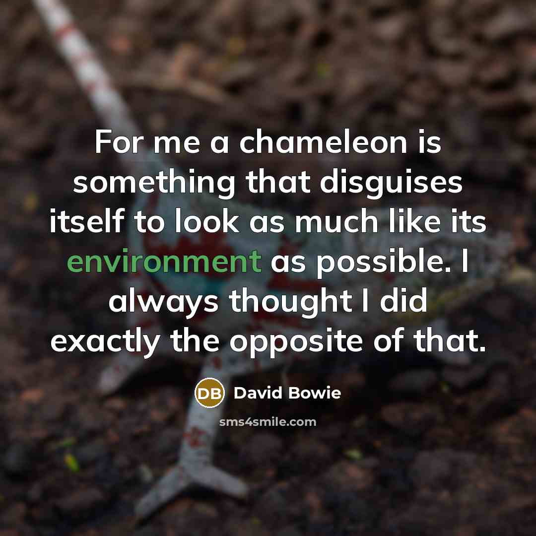 “For me a chameleon is something that disguises itself to look as much like its environment as possible. I always thought I did exactly the opposite of that.” quote by David Bowie