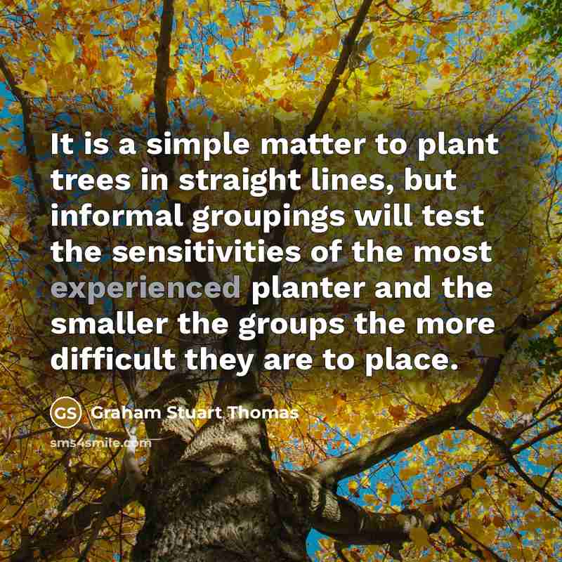“It is a simple matter to plant trees in straight lines, but informal groupings will test the sensitivities of the most experienced planter and the smaller the groups the more difficult they are to place.” quote by Graham Stuart Thomas