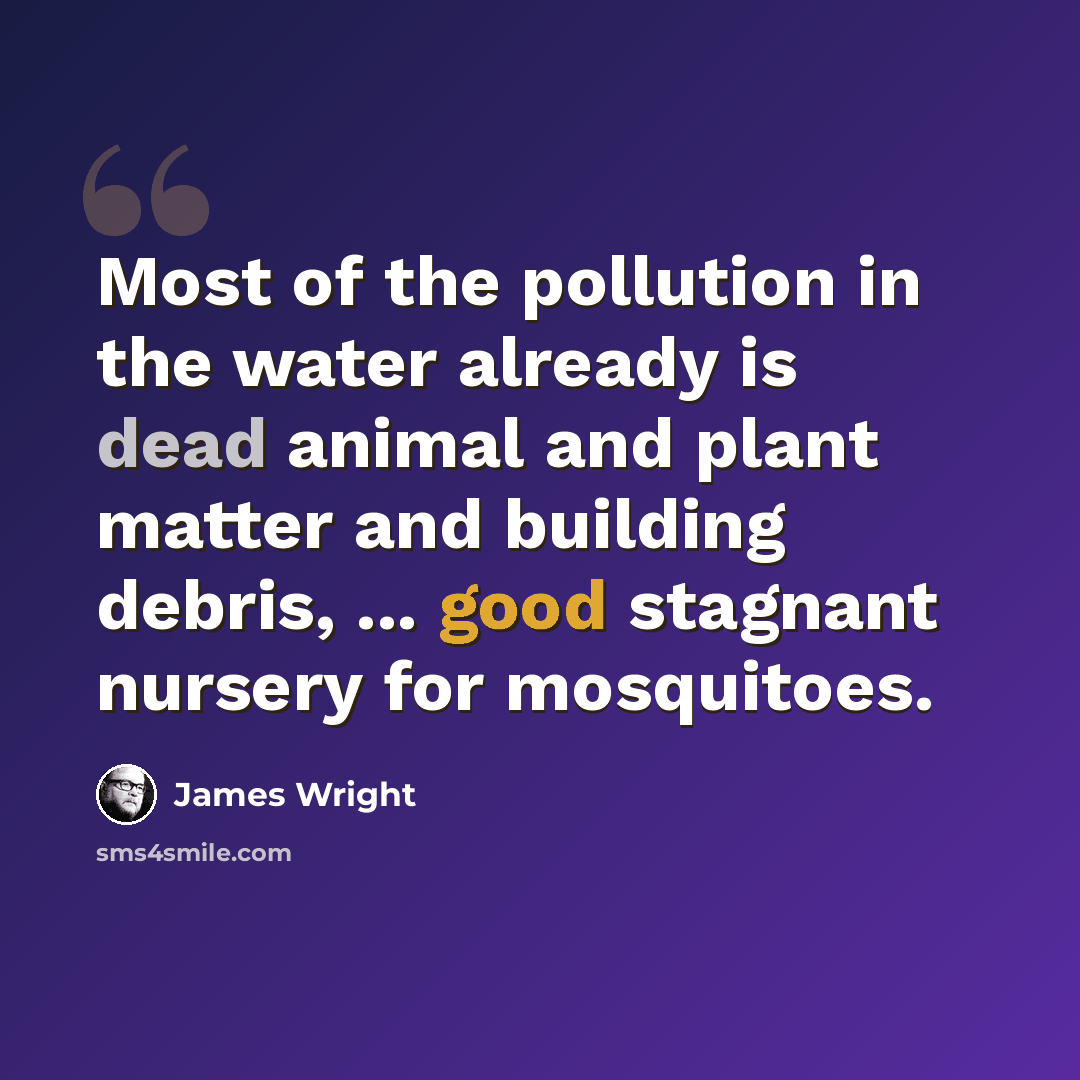 “Most of the pollution in the water already is dead animal and plant matter and building debris, ... good stagnant nursery for mosquitoes.” quote by James Wright
