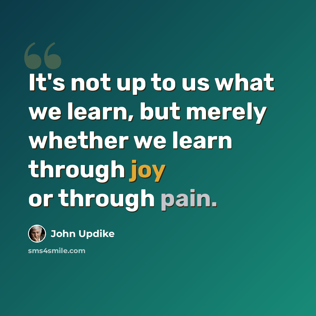 “It's not up to us what we learn, but merely whether we learn through joy or through pain.” quote by John Updike