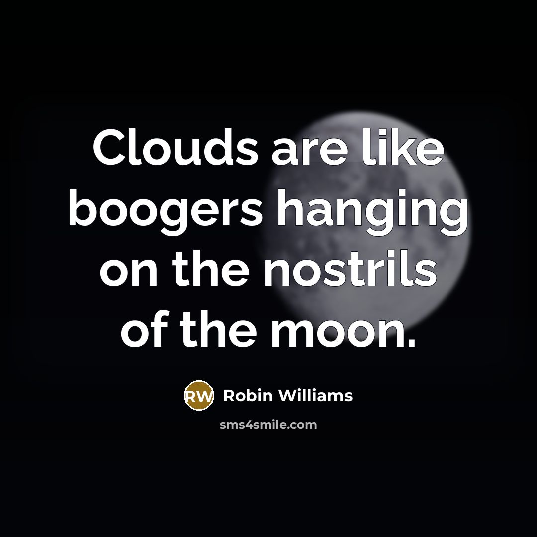“Clouds are like boogers hanging on the nostrils of the moon.” quote by Robin Williams