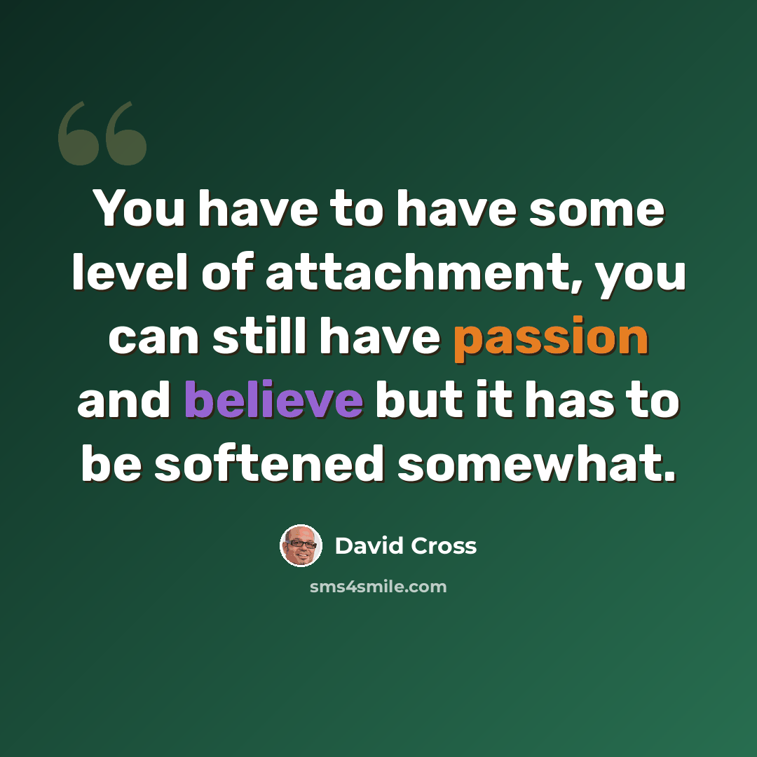 “You have to have some level of attachment, you can still have passion and believe but it has to be softened somewhat.” quote by David Cross