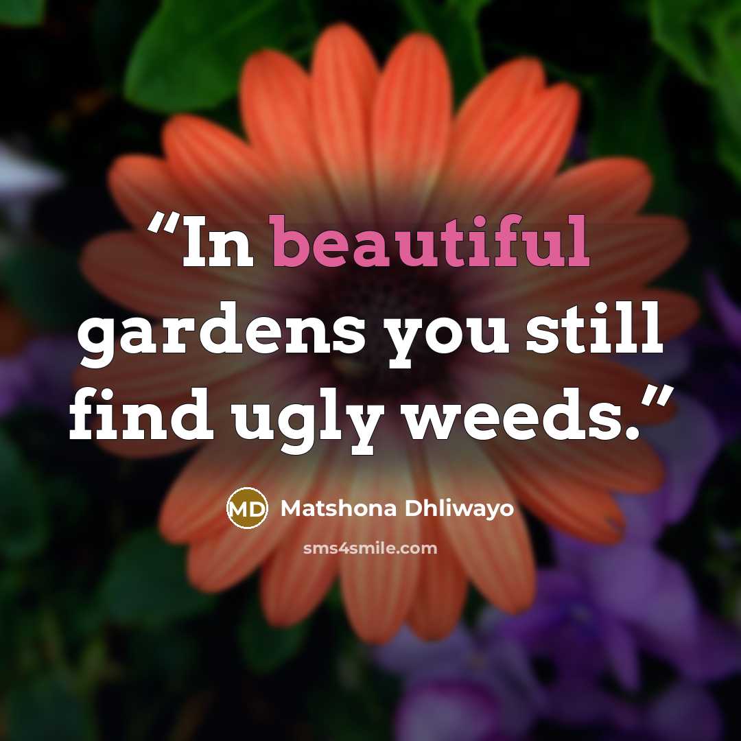 “In beautiful gardens you still find ugly weeds.” quote by Matshona Dhliwayo