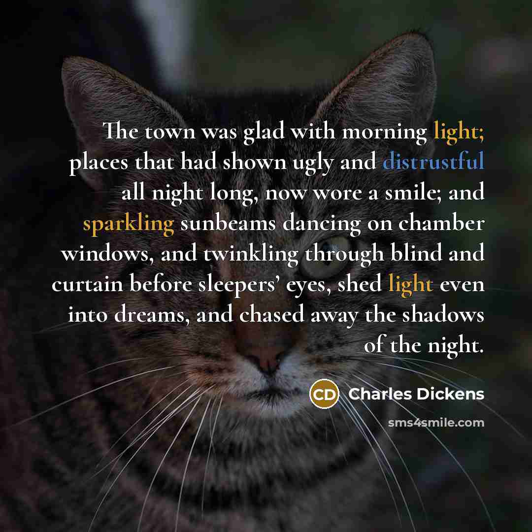 “The town was glad with morning light; places that had shown ugly and distrustful all night long, now wore a smile; and sparkling sunbeams dancing on chamber windows, and twinkling through blind and curtain before sleepers’ eyes, shed light even into dreams, and chased away the shadows of the night.” quote by Charles Dickens